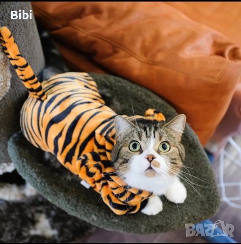 Плюшен гащеризон Тигър или Динозавър за куче/котка, снимка 4 - За кучета - 42840999