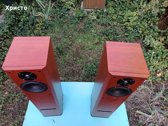 Тонколони Hi-End Usher V-602, снимка 9 - Тонколони - 52171299