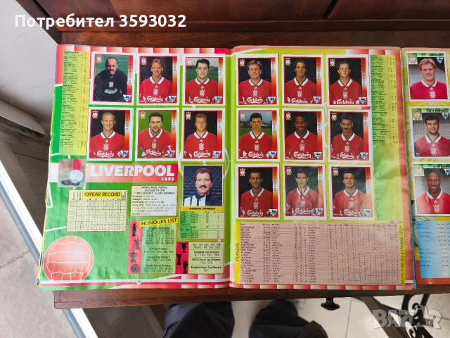 Два пълни албума Premier league 94,95, снимка 10 - Колекции - 53923258