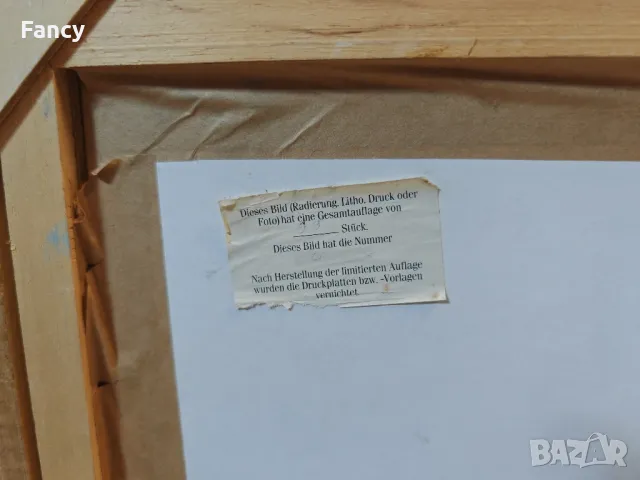 Литография в рамка, картина, снимка 13 - Картини - 48884625
