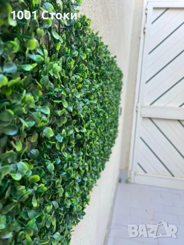 Декоративно Пано за Стена , снимка 1