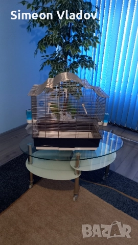 ПРОДАВАМ.КЛЕТКА ЗА ПАПАГАЛЧЕ., снимка 2 - Папагали - 52194414
