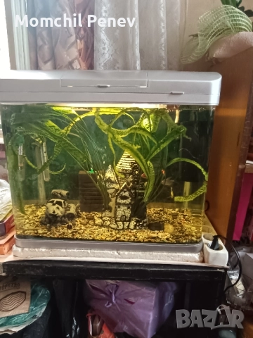 Аквариум , снимка 7 - Оборудване за аквариуми - 51778505