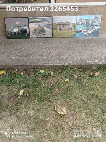 картини платно