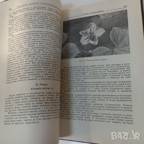 Медоносные растения Глухов М.М. /1955 г./, снимка 3 - Енциклопедии, справочници - 39456569
