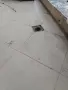 Вътрешни ремонти , снимка 1