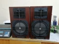 Тонколони Електроника 35АС-130, снимка 1