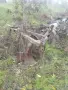 70 цената на килограм за всичко , снимка 2