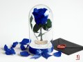 Оригинален Подарък за Жена / Синя Вечна Роза в Стъкленица / Естествена Роза Подарък за Имен Ден, снимка 6