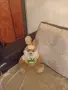 ПЛЮШЕНА ИГРАЧКА ЗАЙЧЕ, снимка 14