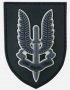 Нашивка на “SAS”, снимка 2