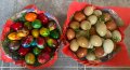 Разноцветни домашни яйца от различни породи кокошки за консумация и люпене, снимка 4