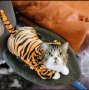 Плюшен гащеризон Тигър или Динозавър за куче/котка, снимка 4