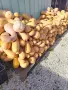Тикви цигулка договаряне, снимка 2
