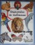 Енциклопедия на животните, снимка 1 - Детски книжки - 40227486