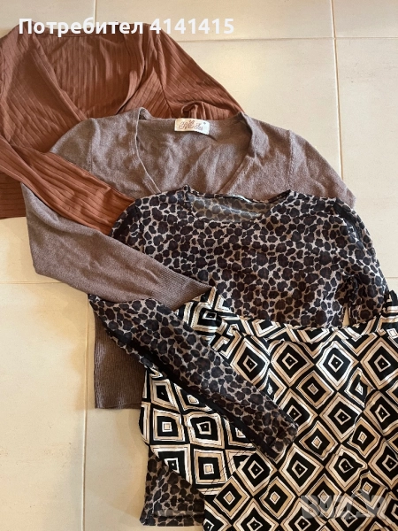 Есенни Блузки, снимка 1