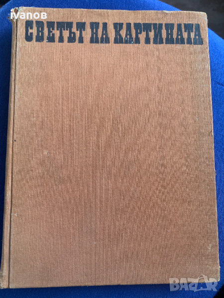  светът на картината, снимка 1