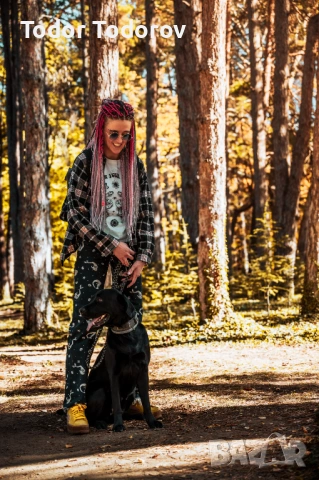 Фотосесия с домашен любимец | Истинска връзка, уловена в кадър, снимка 3 - Ветеринари и услуги - 53926420