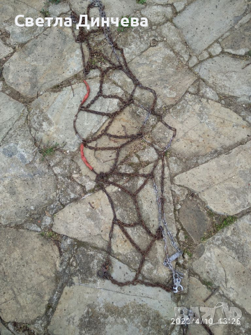 Вериги за сняг