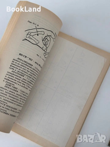 Чжен - Цзю - Ксюе. Анатомия и физиология на акупунктурата. Том 1. Убождане и обгаряне на точки| Абу, снимка 6 - Художествена литература - 51821760