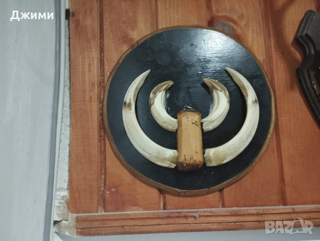 зъби от глиган , снимка 2 - Антикварни и старинни предмети - 44725215