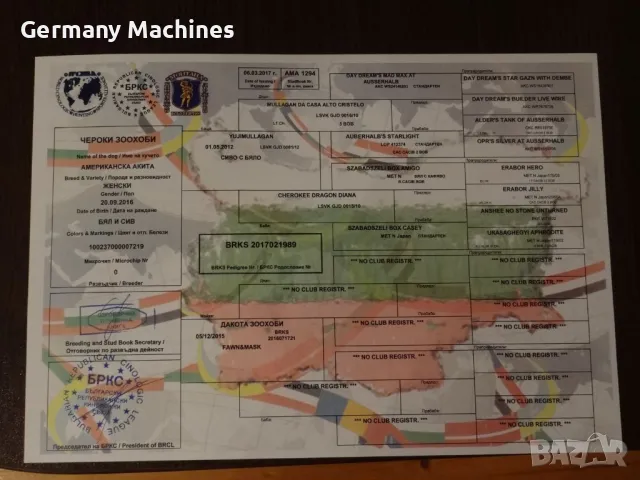 продавам РОДОСЛОВИЕ, Медали, Купи за различни породи кучета.. Вече не развъждам кучета и родословият, снимка 6 - Други - 48669126