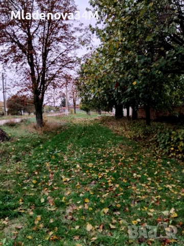 Имот с голям двор, снимка 11 - Къщи - 52255307