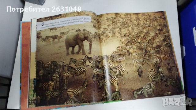 животни пътешественици илюстрована енциклопедия, снимка 3 - Детски книжки - 42730224