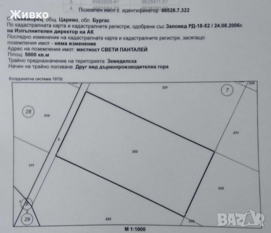 Два парцела в село Синеморец, местност Свети Пантелей, снимка 4 - Земеделска земя - 29996086