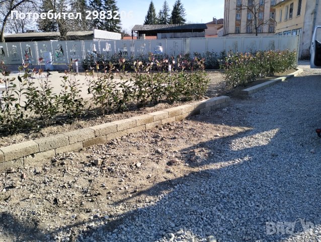 Градинарски услуги и работа с баге, снимка 14 - Други - 44369184