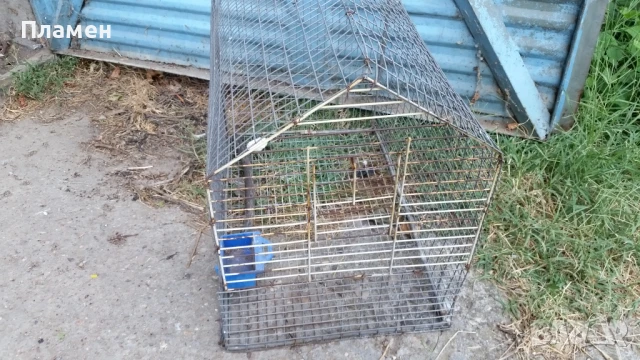 Клетка за птици, снимка 2 - За птици - 51110997