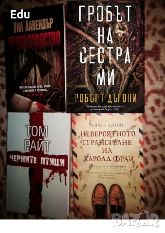 Книги на Даниел Стийл, Фицджералд, Павоун, Агата Кристи, Майкълидис, Конъли, Хейли, снимка 11 - Художествена литература - 25111417