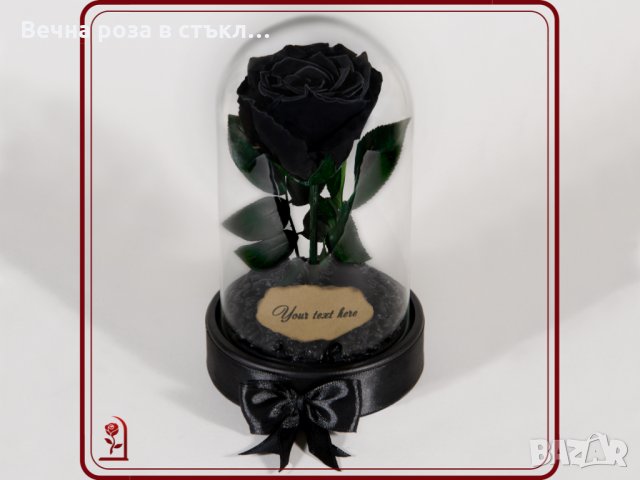 Подарък за Жена / ЕСТЕСТВЕНА Вечна Черна Роза в Стъкленица / Оригинален и Ръчно Изработен Подарък, снимка 3 - Декорация за дома - 30836503