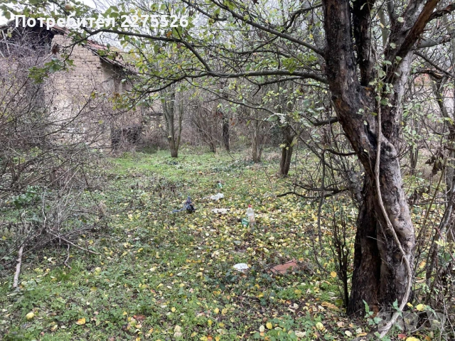 1200 кв.м. имот в с. Писарово, снимка 10 - Вили - 53990740