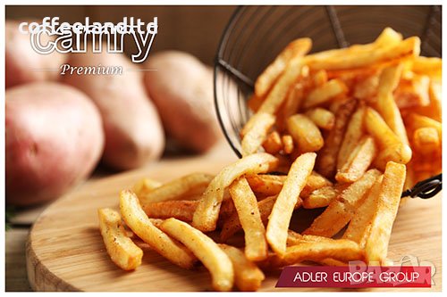 Фритюрник 3 л.  CR 4909, снимка 2 - Фритюрници - 31489474