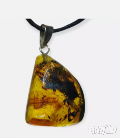 Уникална висулка от Мексикански кехлибар с отлично съхранени фосили., снимка 2 - Други - 36570243