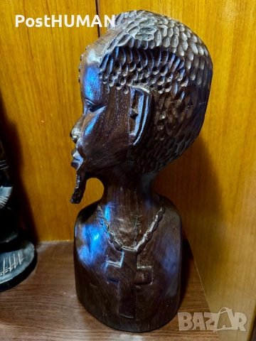 Африкански бюст -Глави - Африка, снимка 2 - Колекции - 52421300