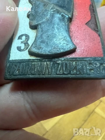 Значка полска военна , снимка 2 - Други ценни предмети - 50614254