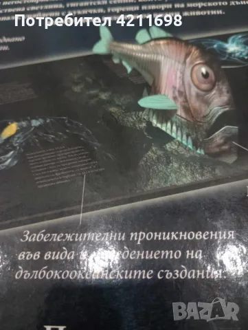 "В дълбините на океана", снимка 3 - Енциклопедии, справочници - 48168828