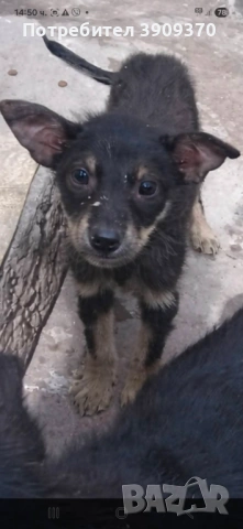 Подаряват се много мили и малки слънца