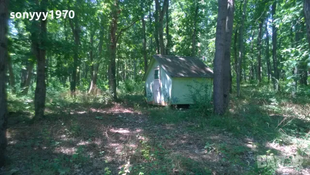 *БУНГАЛО НА МОРЕТО 2510241729