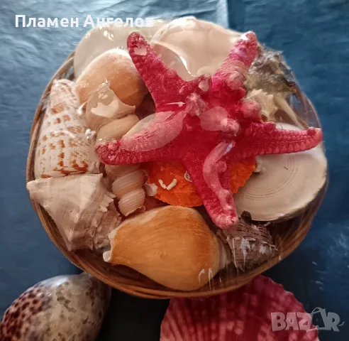 Кошница с екзотични раковини +още 2 броя. , снимка 4 - Декорация за дома - 56205936