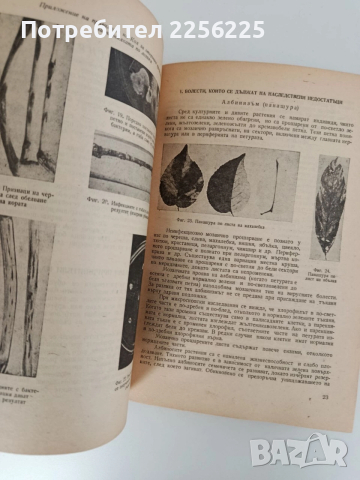 Фитопатология 1964г, снимка 3 - Специализирана литература - 52790203