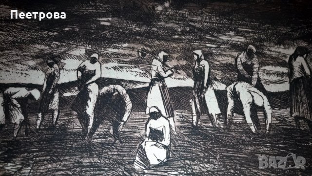 Рисунка върху картон „Сеитба в Добруджа”-1966 год., снимка 5 - Колекции - 33973493