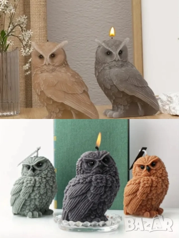 Молд сова два вида 