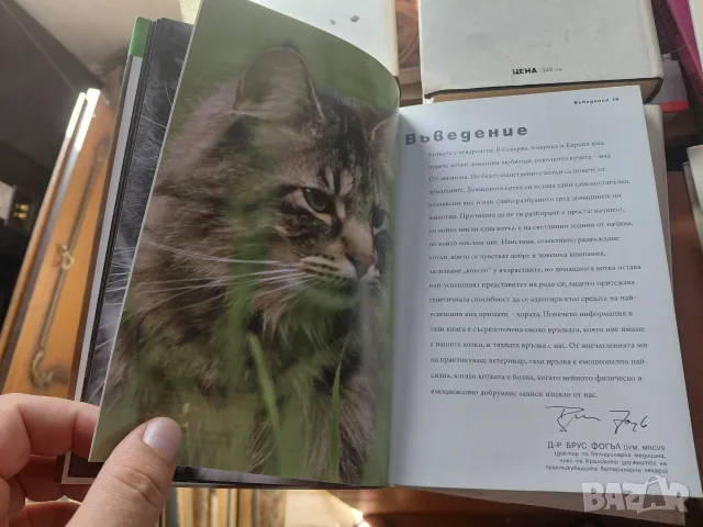 Всичко за котката, снимка 5 - Специализирана литература - 56453997