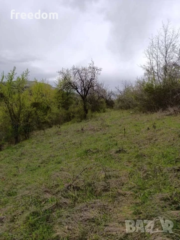 Земеделска земя, снимка 4 - Земеделска земя - 50453434