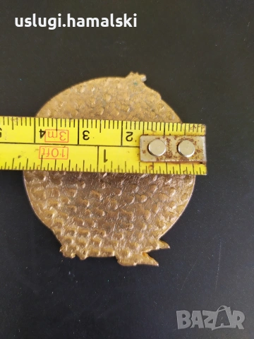Стар окултен медальон/монета, снимка 5 - Антикварни и старинни предмети - 54329597
