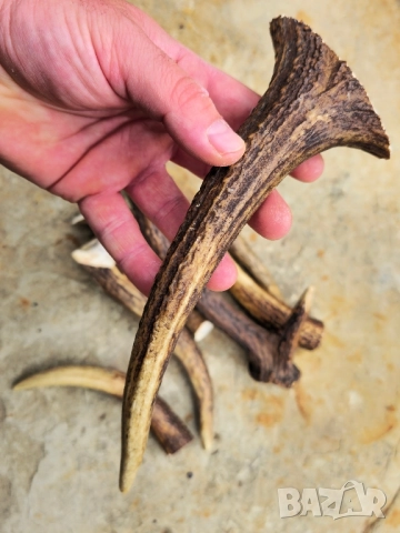 Лот от 8бр Еленски рокца , снимка 7 - Други - 52033288