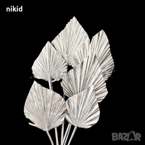 Сребристи Бели Натурални Палмови листа ветрило Оригами Екзотични Тропически сухи цветя листо палмово, снимка 2 - Изкуствени цветя - 41519754